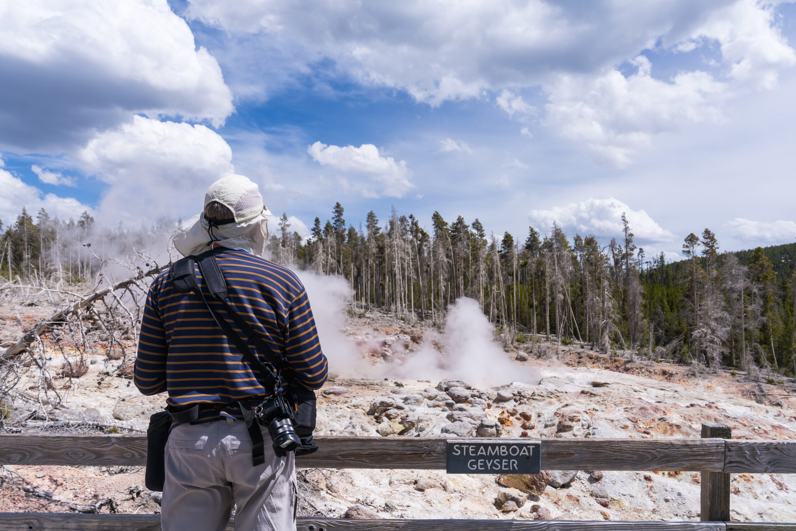 You Earned a Lifetime National Parks Pass.